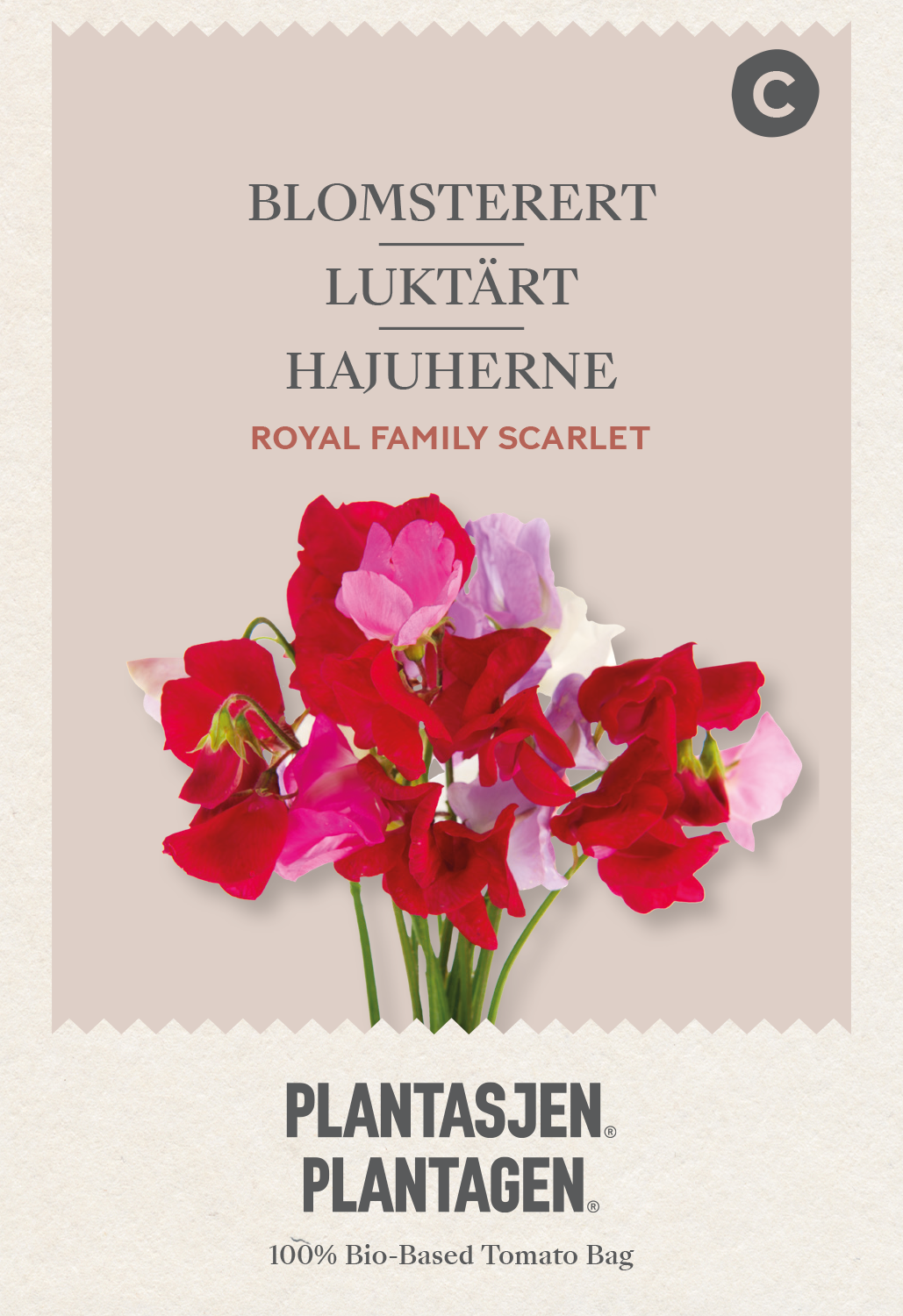 Luktärt 'Royal Family' Scarlet