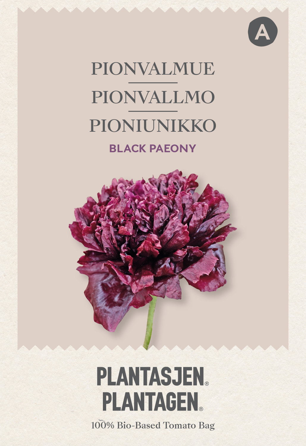 Pionvallmo 'Black Paeony'