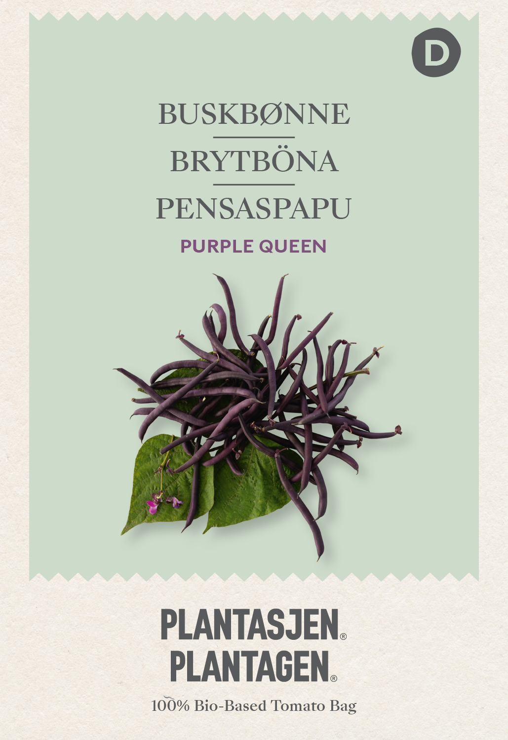 Brytböna Purple Queen