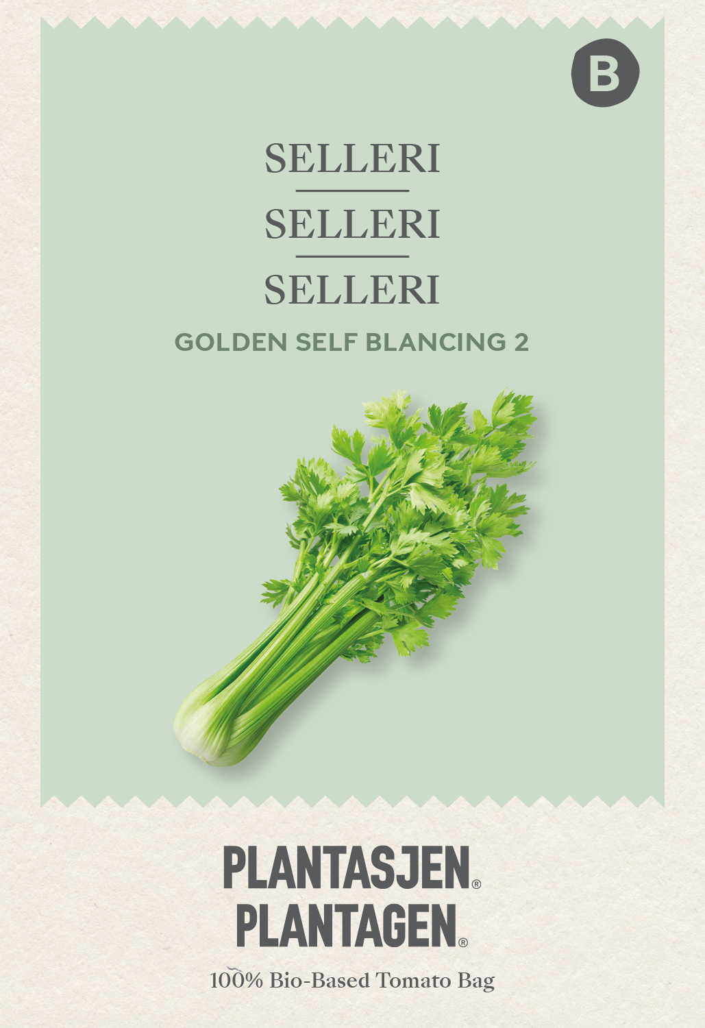 Selleri Golden Self Blancing 2