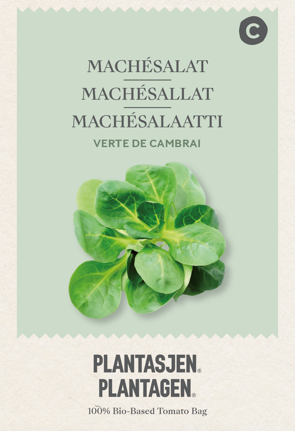 Machésallat Verte de Cambrai