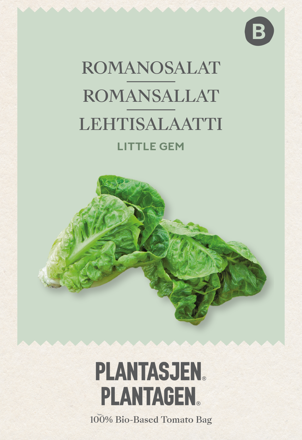 Romansallat Little Gem