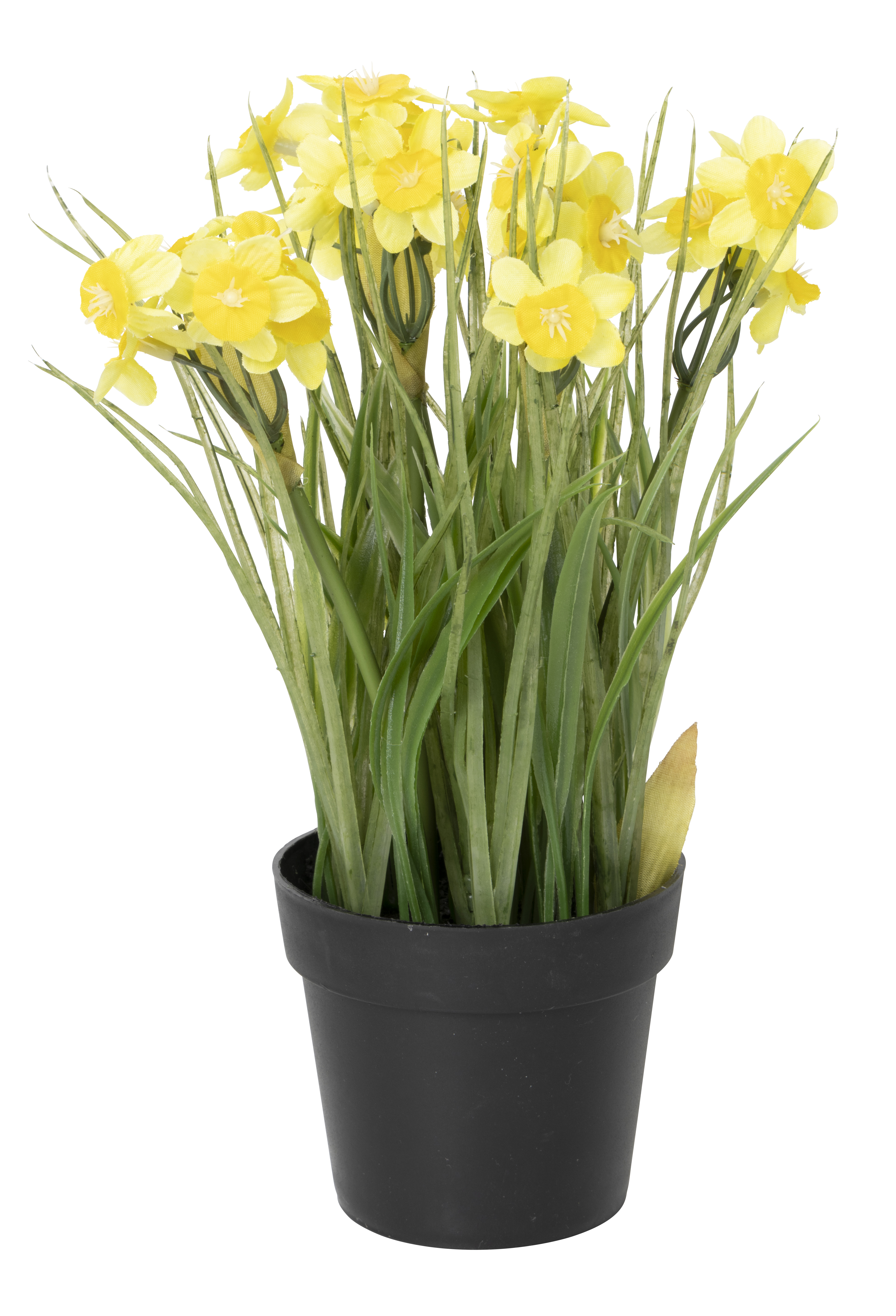 Daffodil in pot artificial