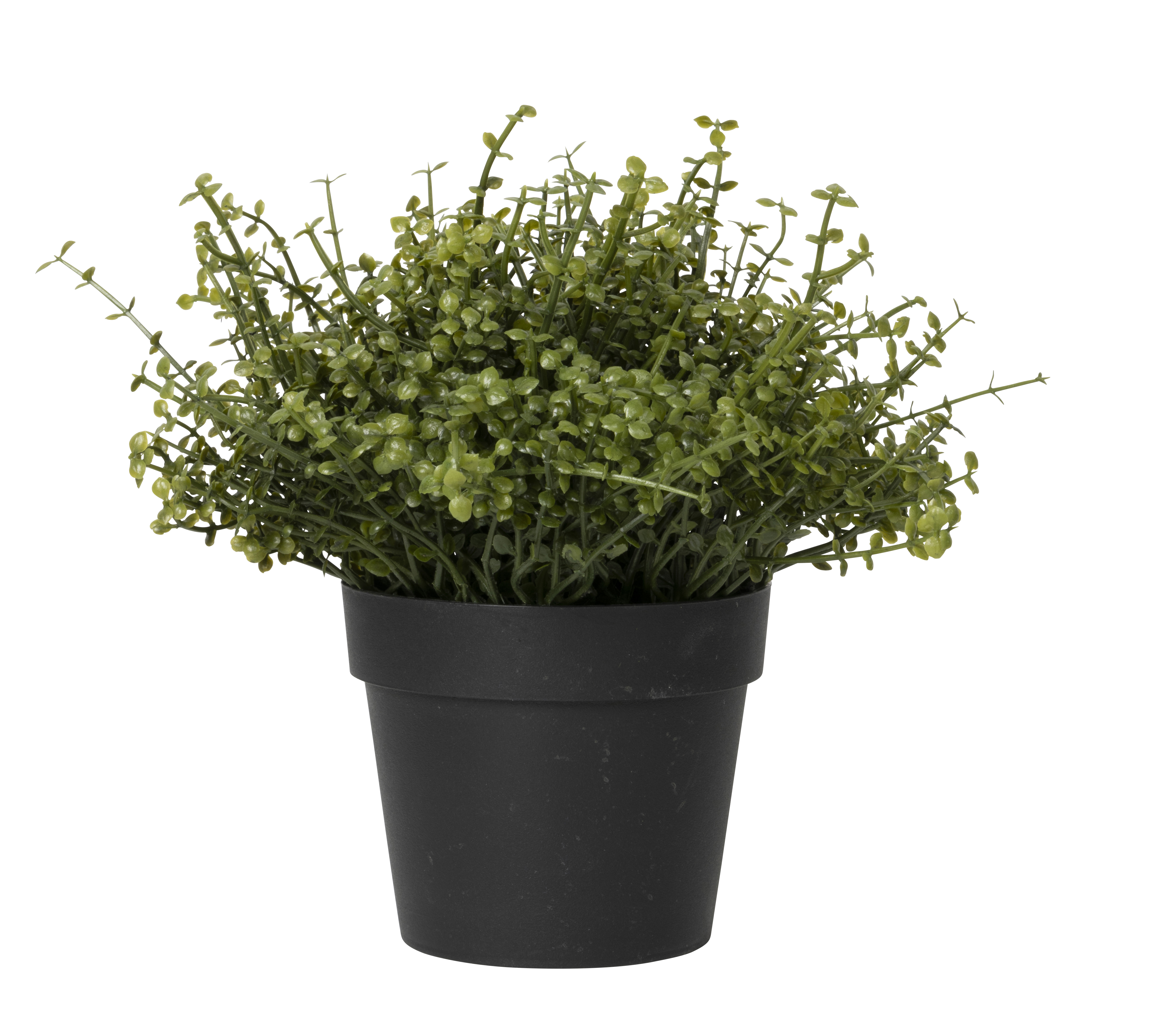 Urteplante i potte kunstig