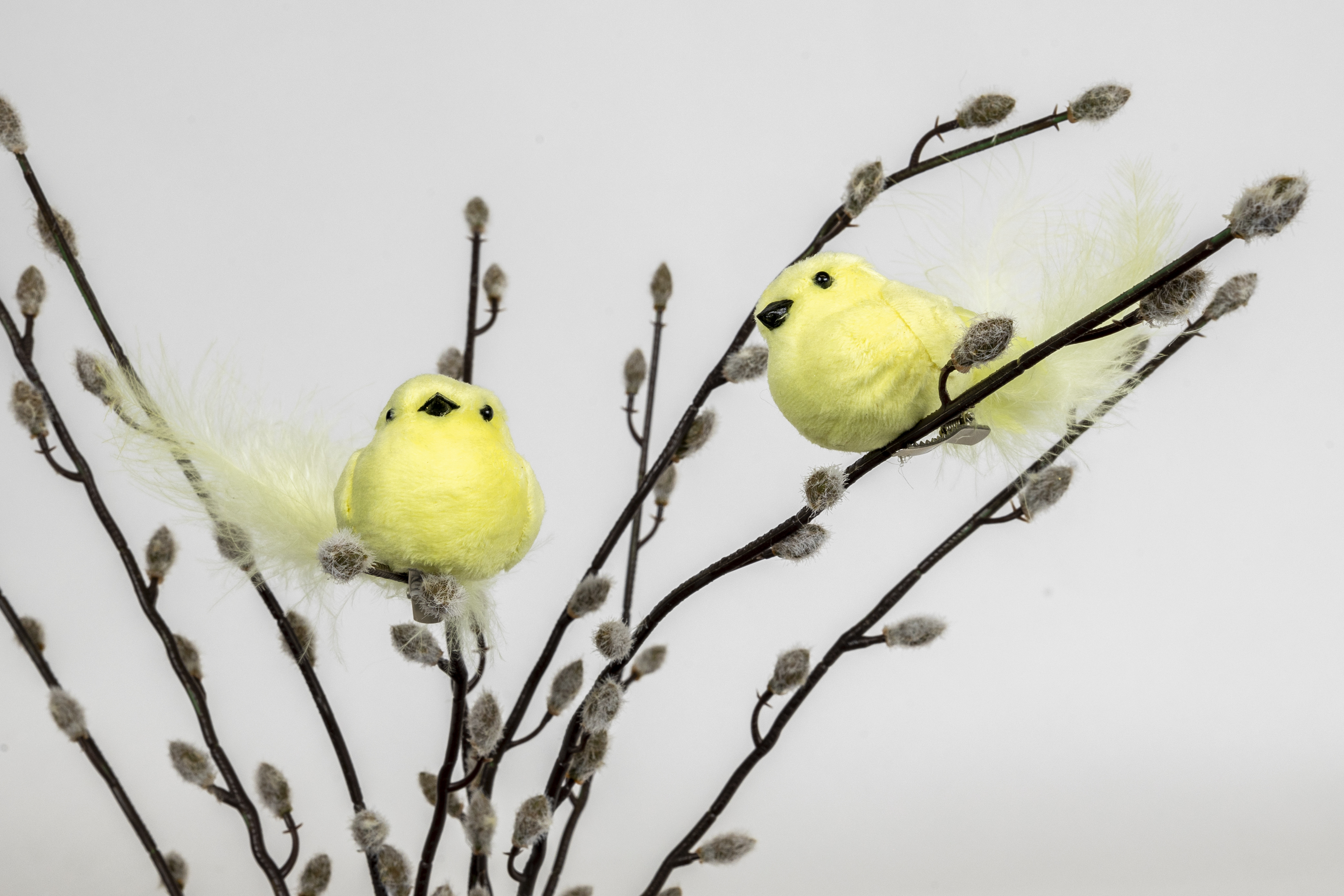 Dekorativfågel Betsy