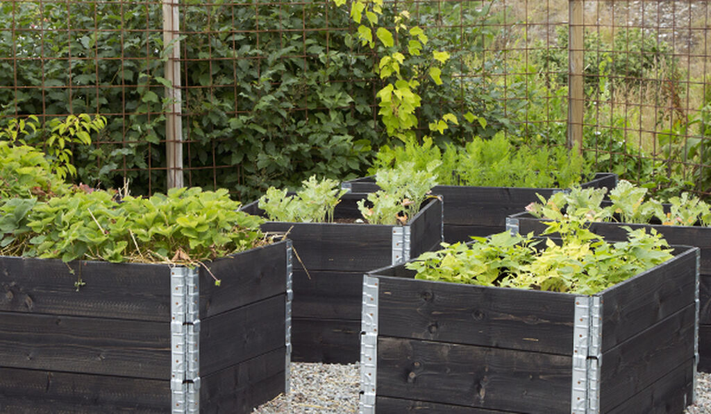 Blomsterkasser Plantasjen () Blomsterkasser Plantasjen
