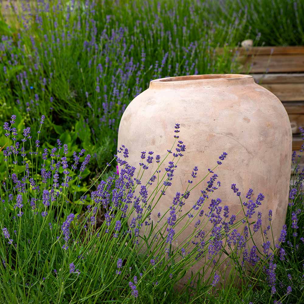 Bowie high pot H67 terracotta