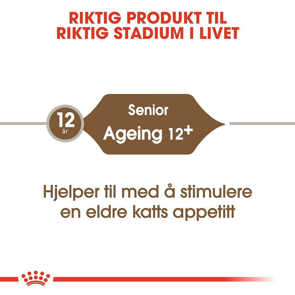 Ageing 12+ 4 kg