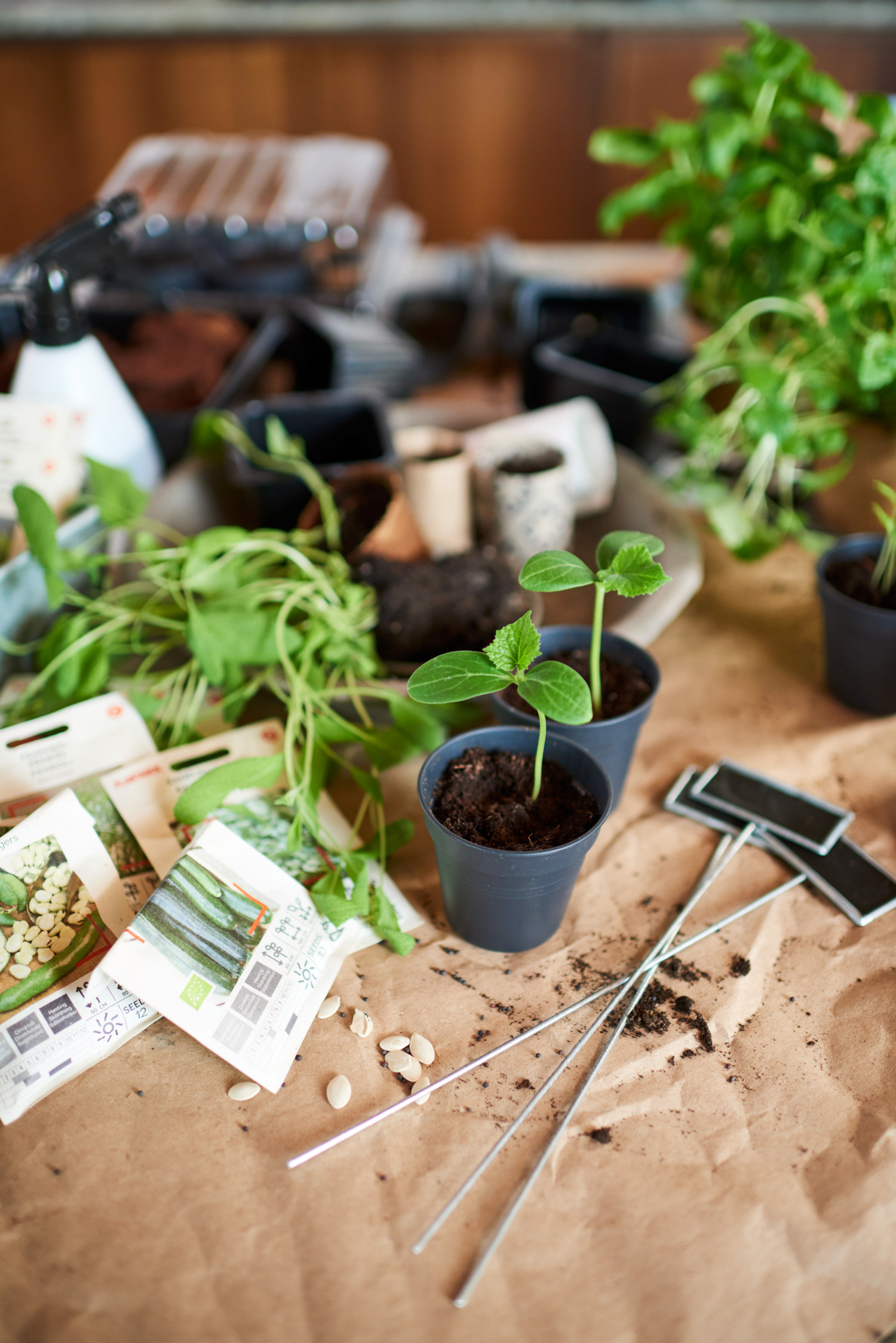 Växtetikett Tyra med griffeltavla