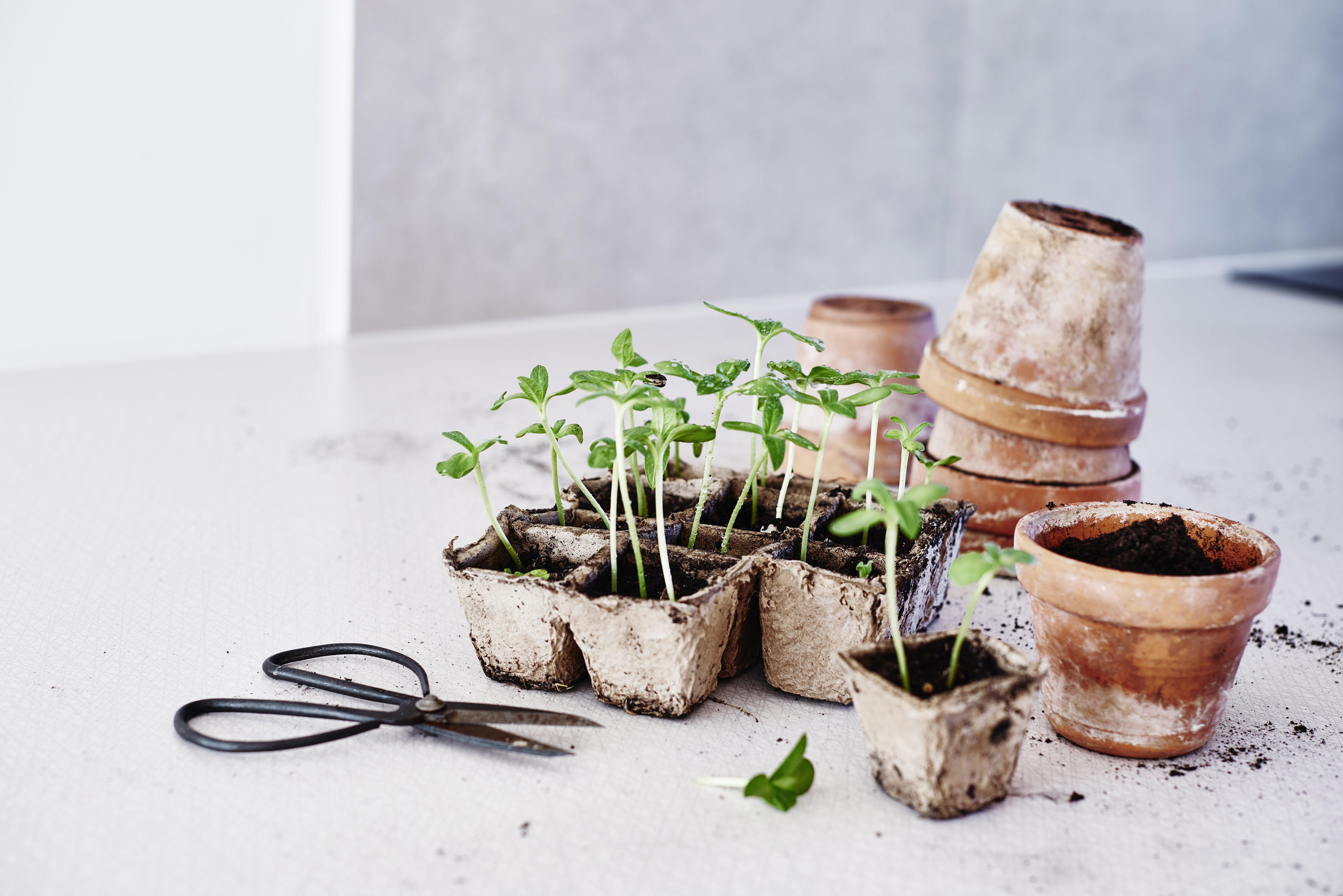 Fiberkruka med 12 fack