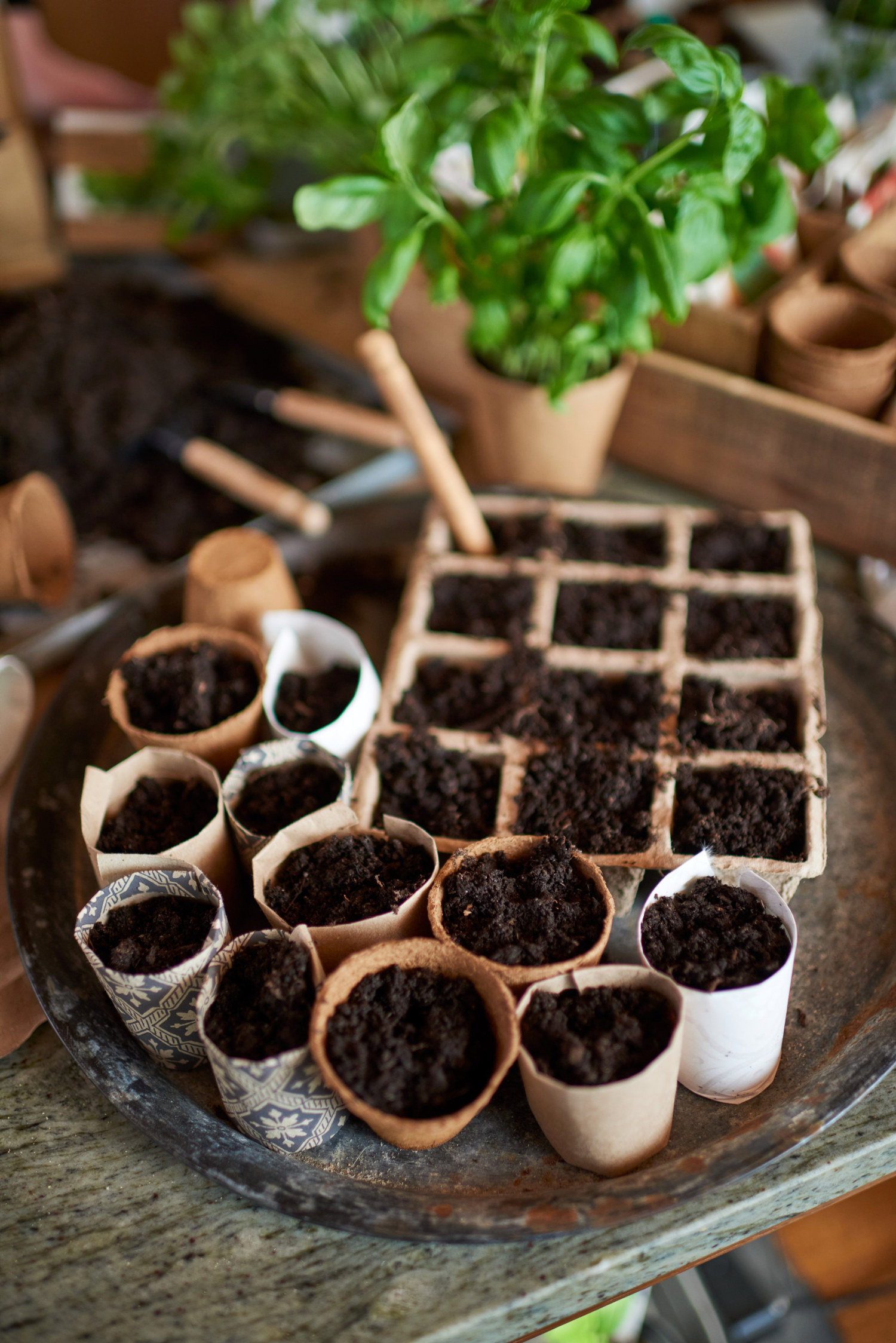 Fiberkruka med 12 fack