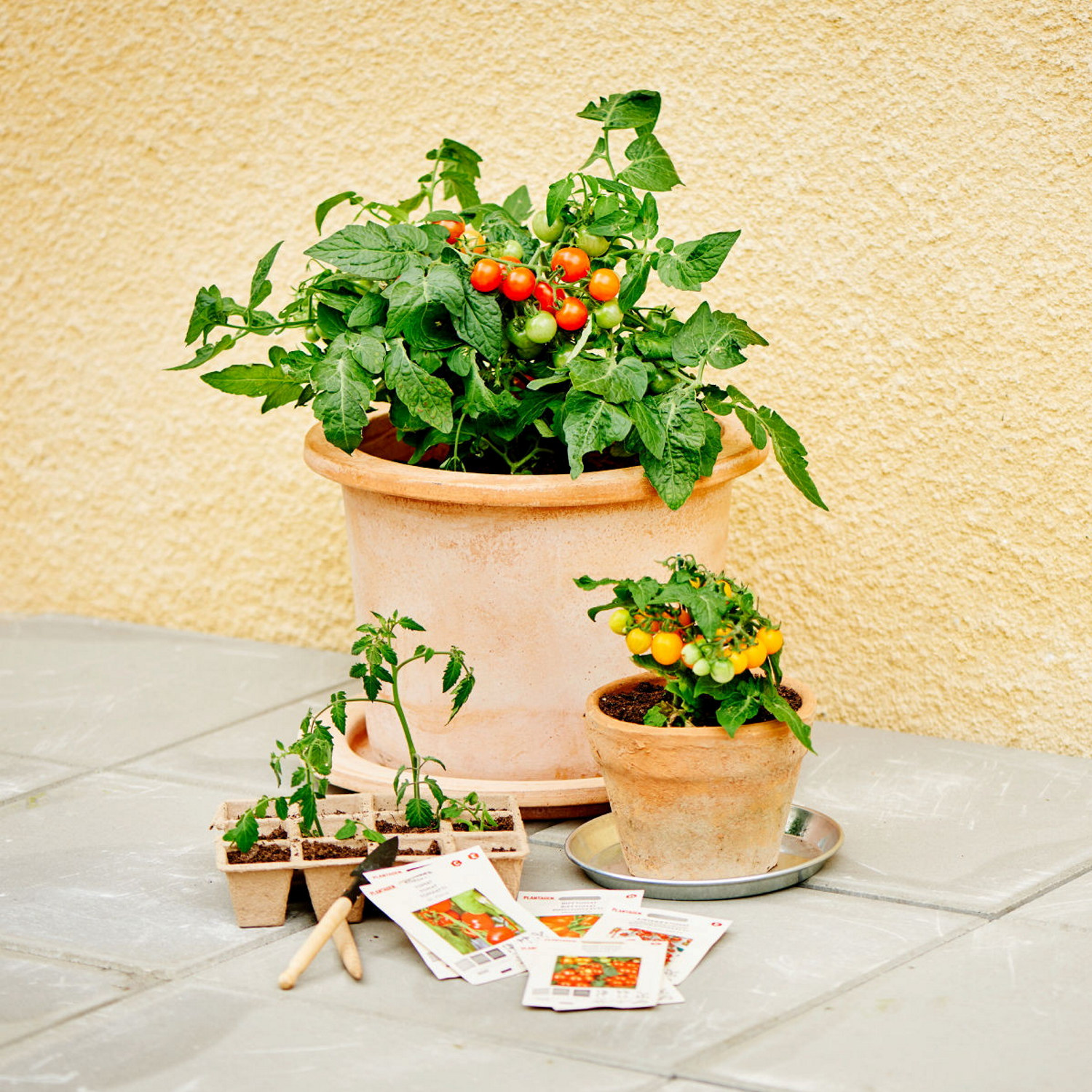 Fiberkruka med 12 fack