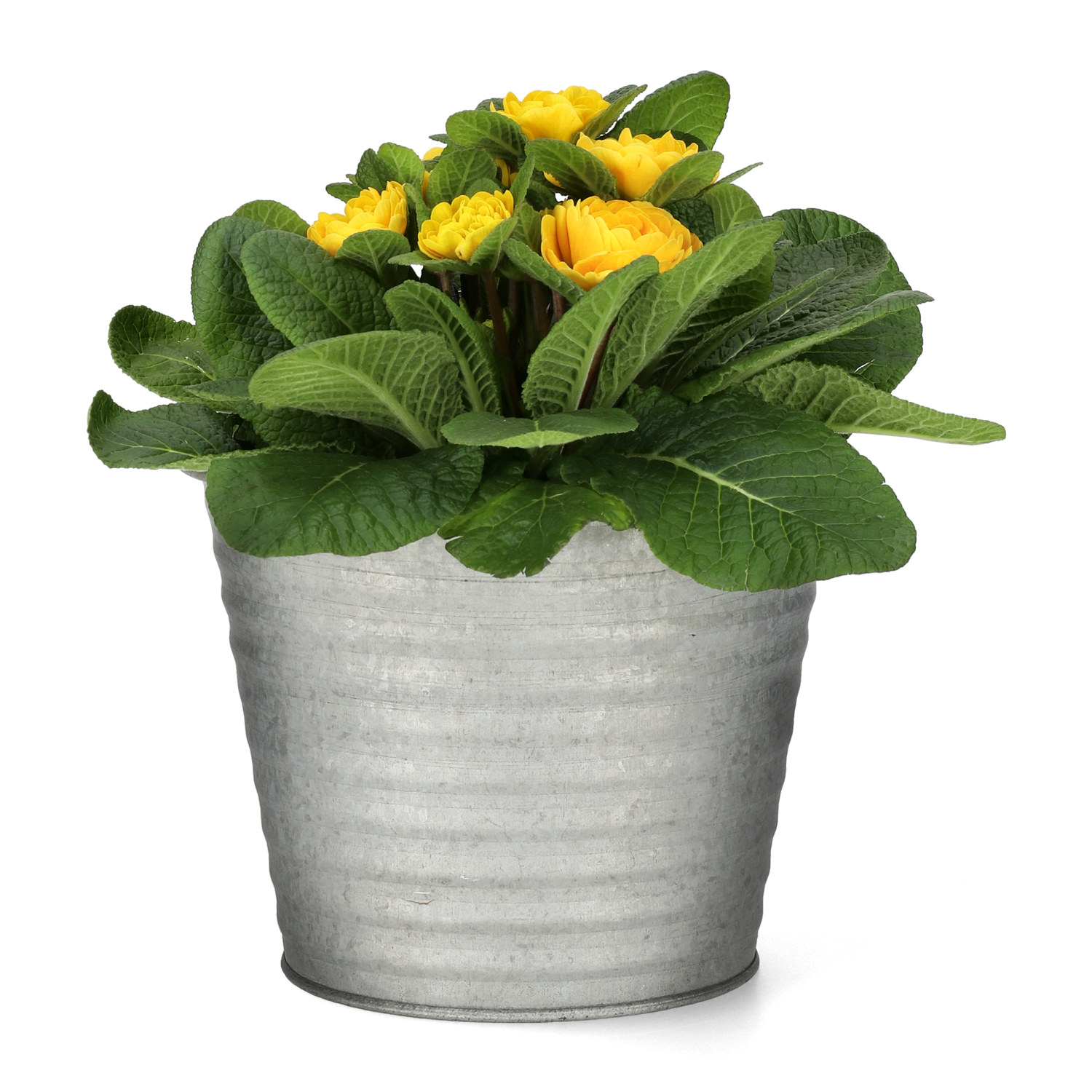 Crewe pot zinc D17 grey