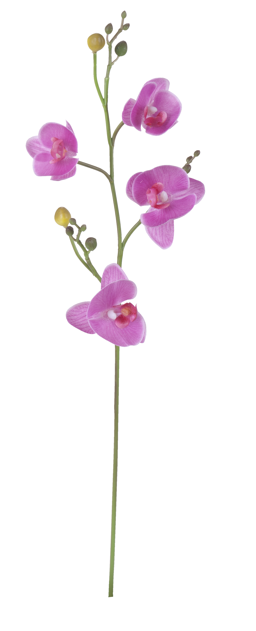 Orchide branch H52 red