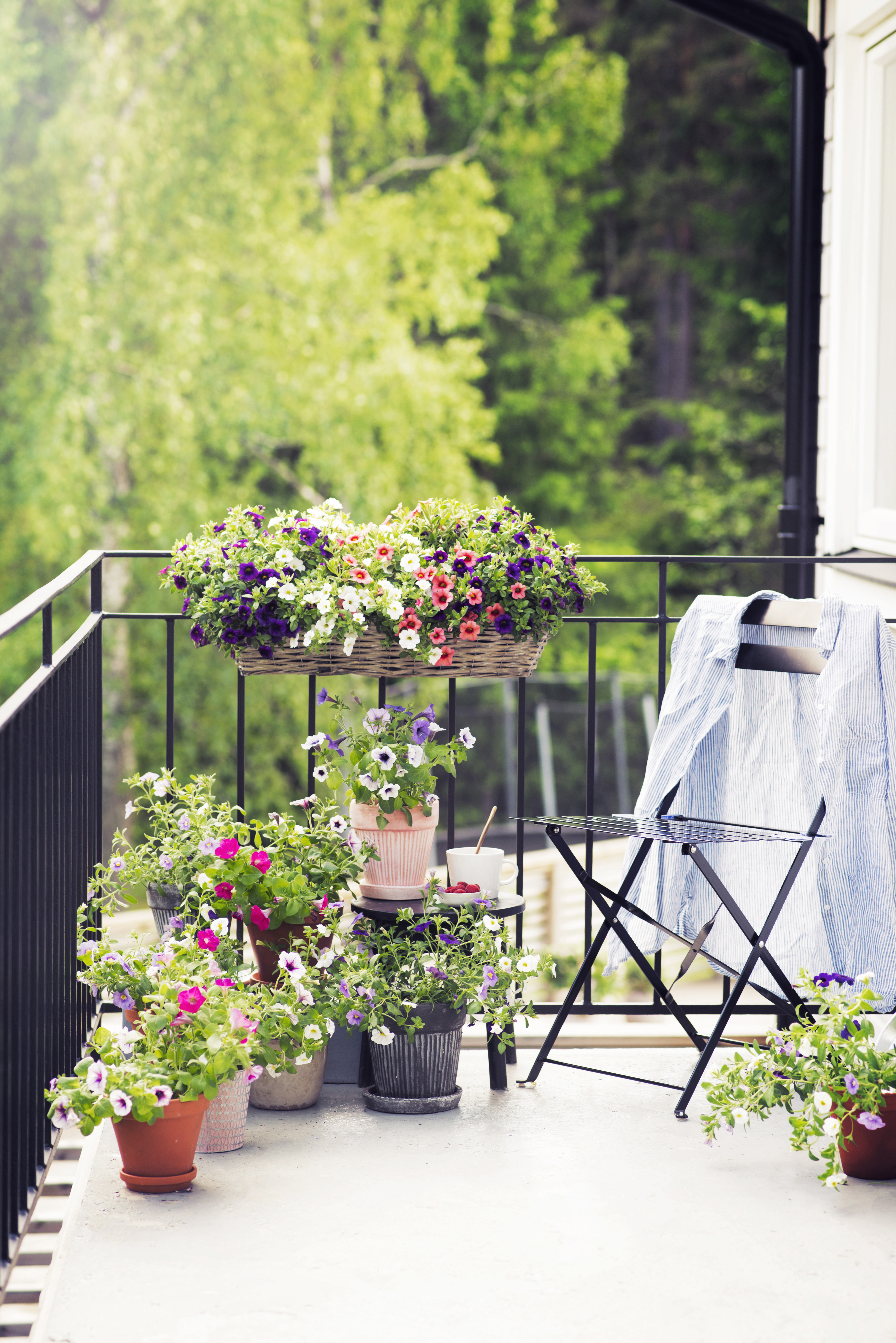 Edith balcony box L61 grey