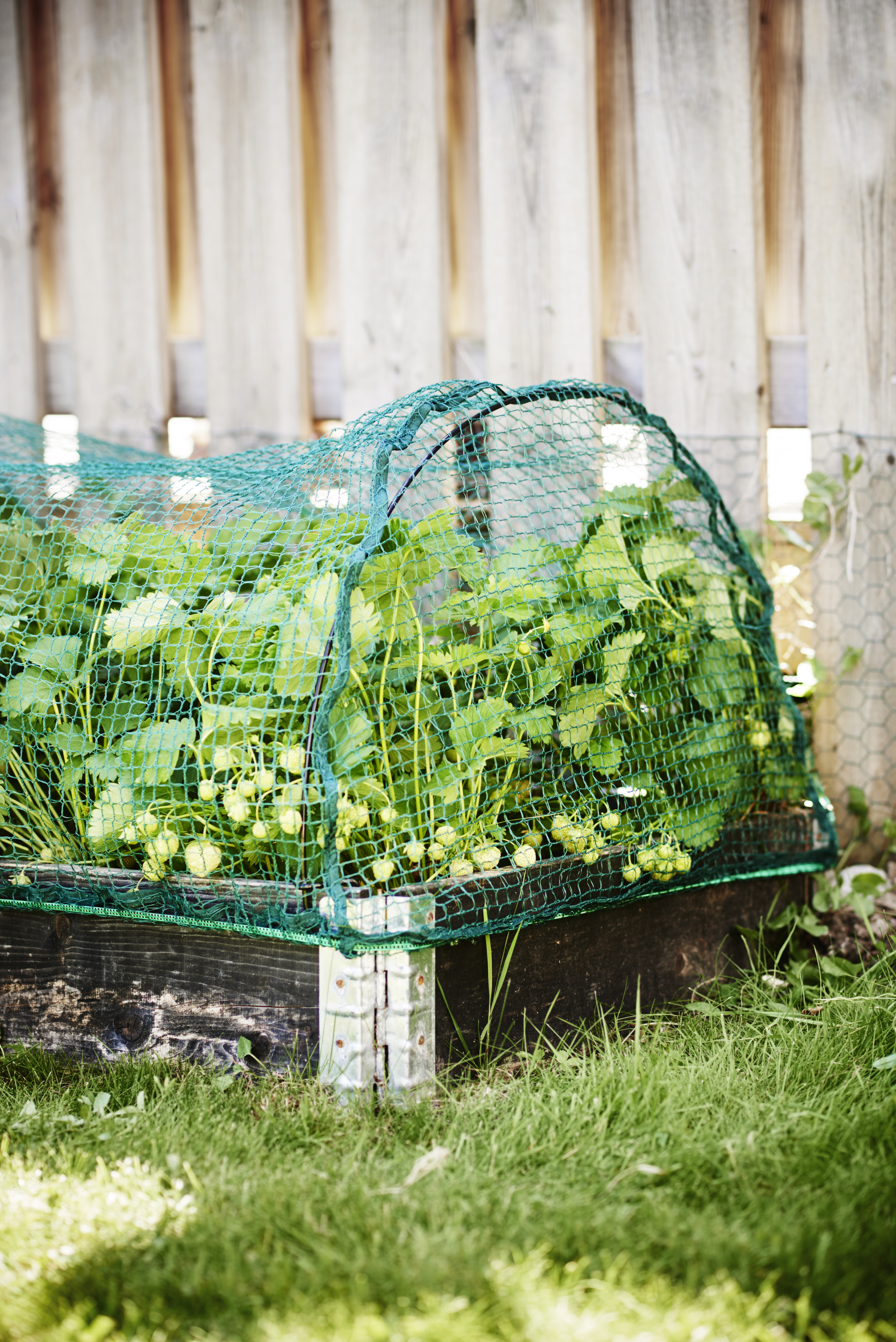 BIRD NET FOR PALLET COLLARS 12
