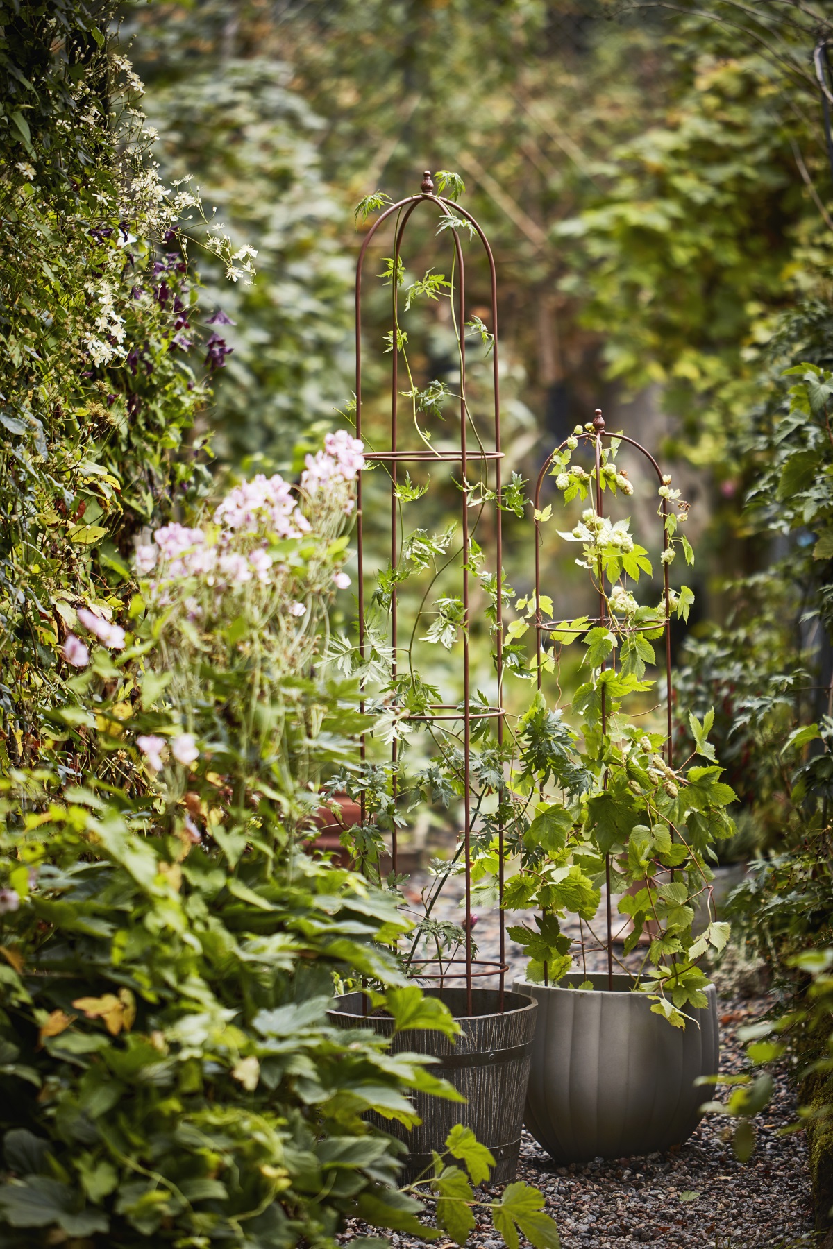 Obelisk Plant Support 140cm