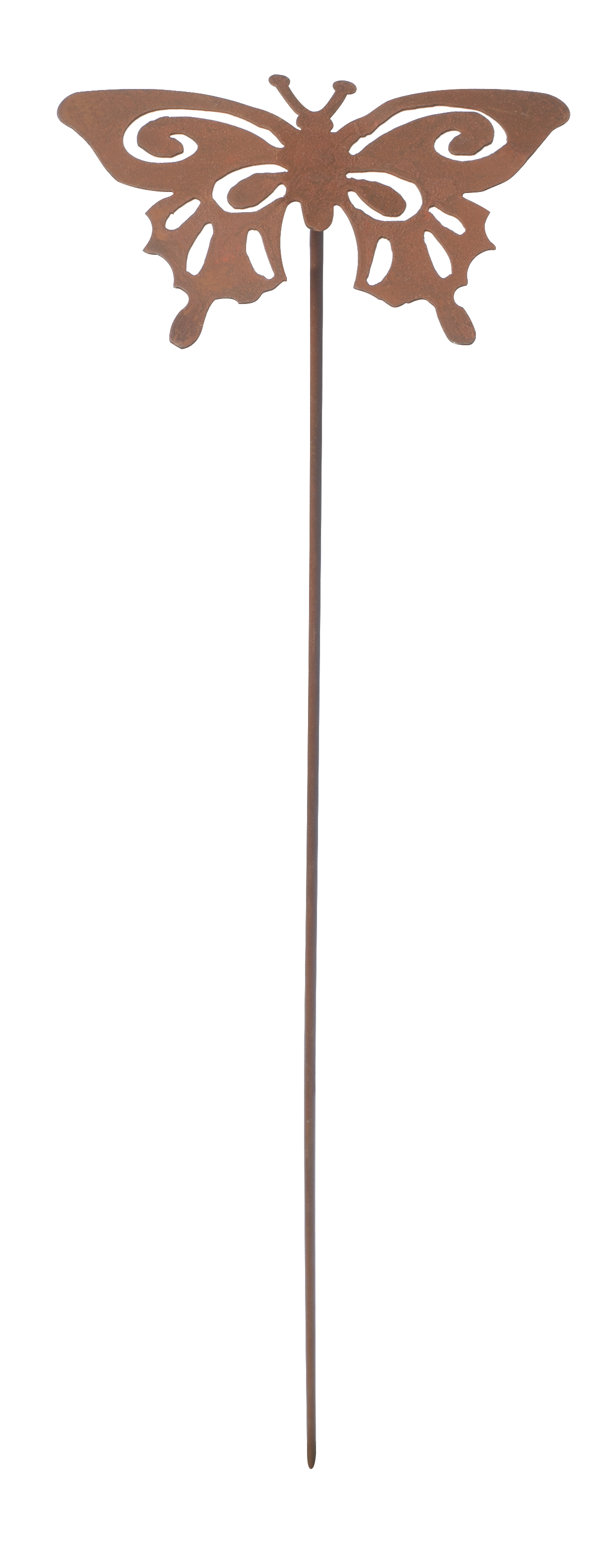 Dekorasjonspinne sommerfugl