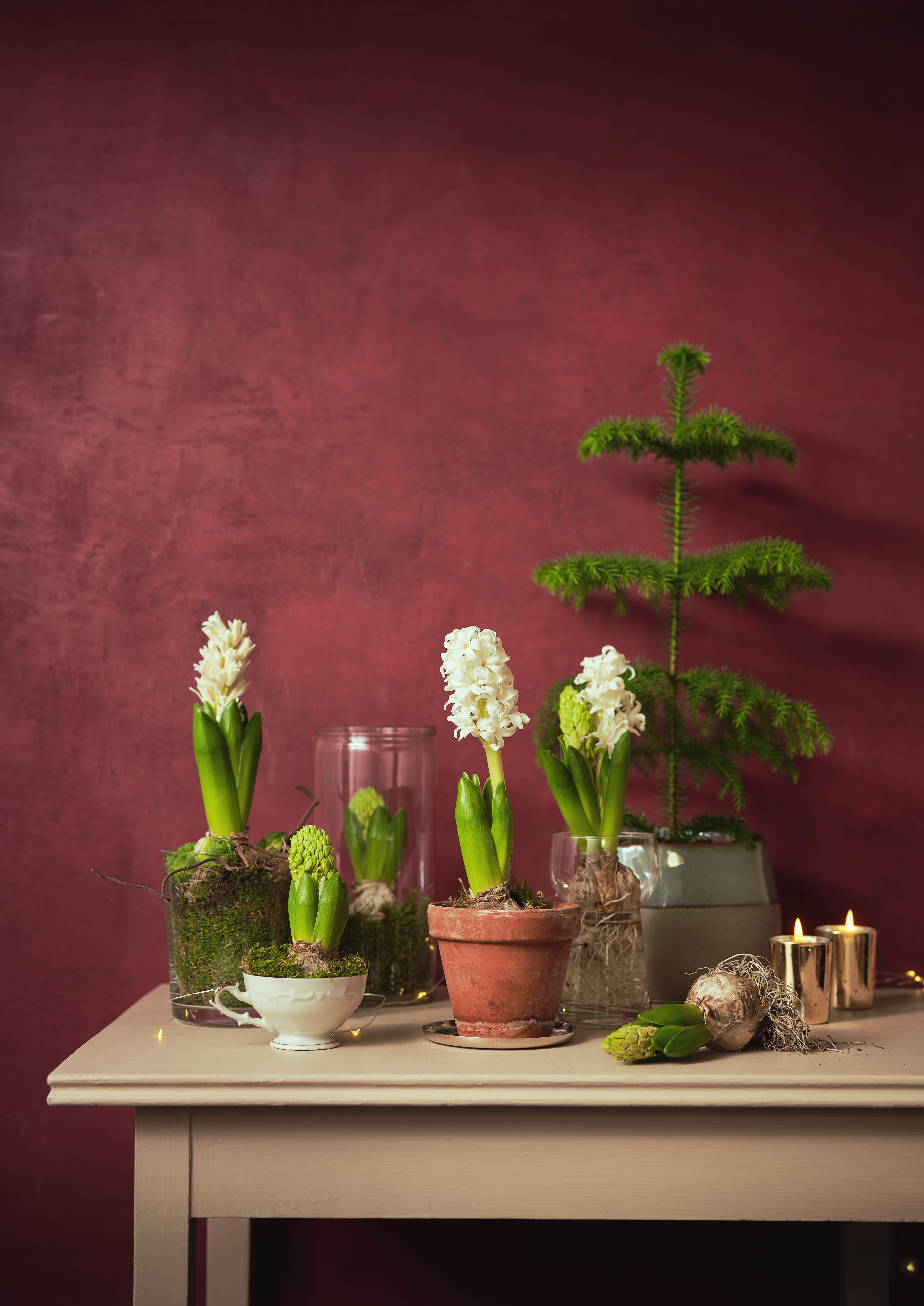 Hyacinth vase H14 transparent