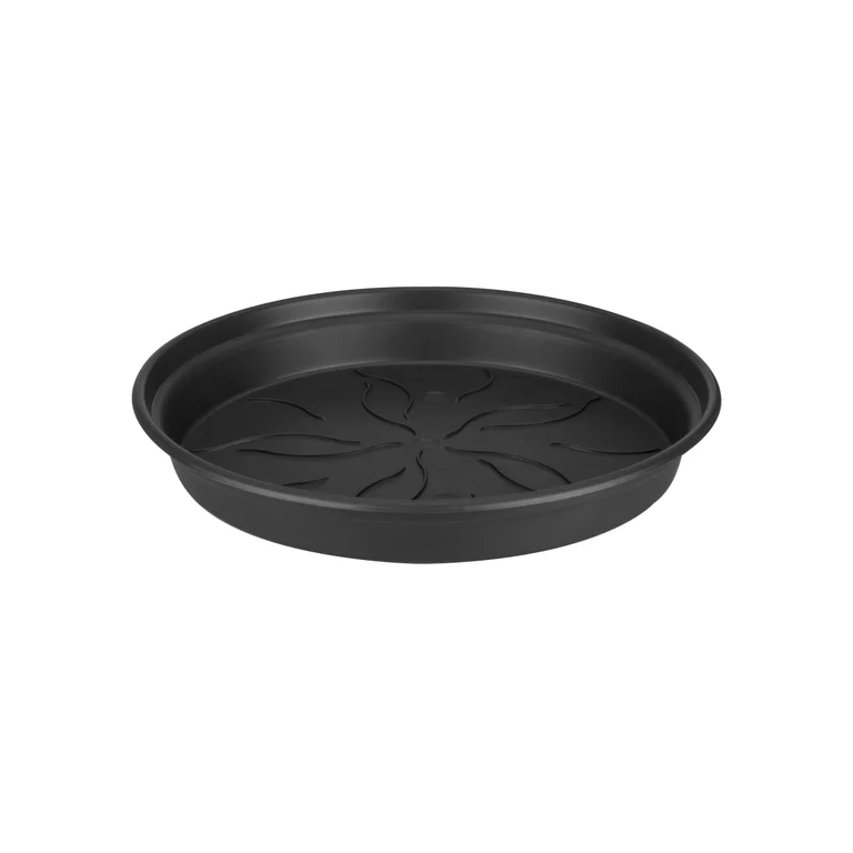 Green basics saucer D25