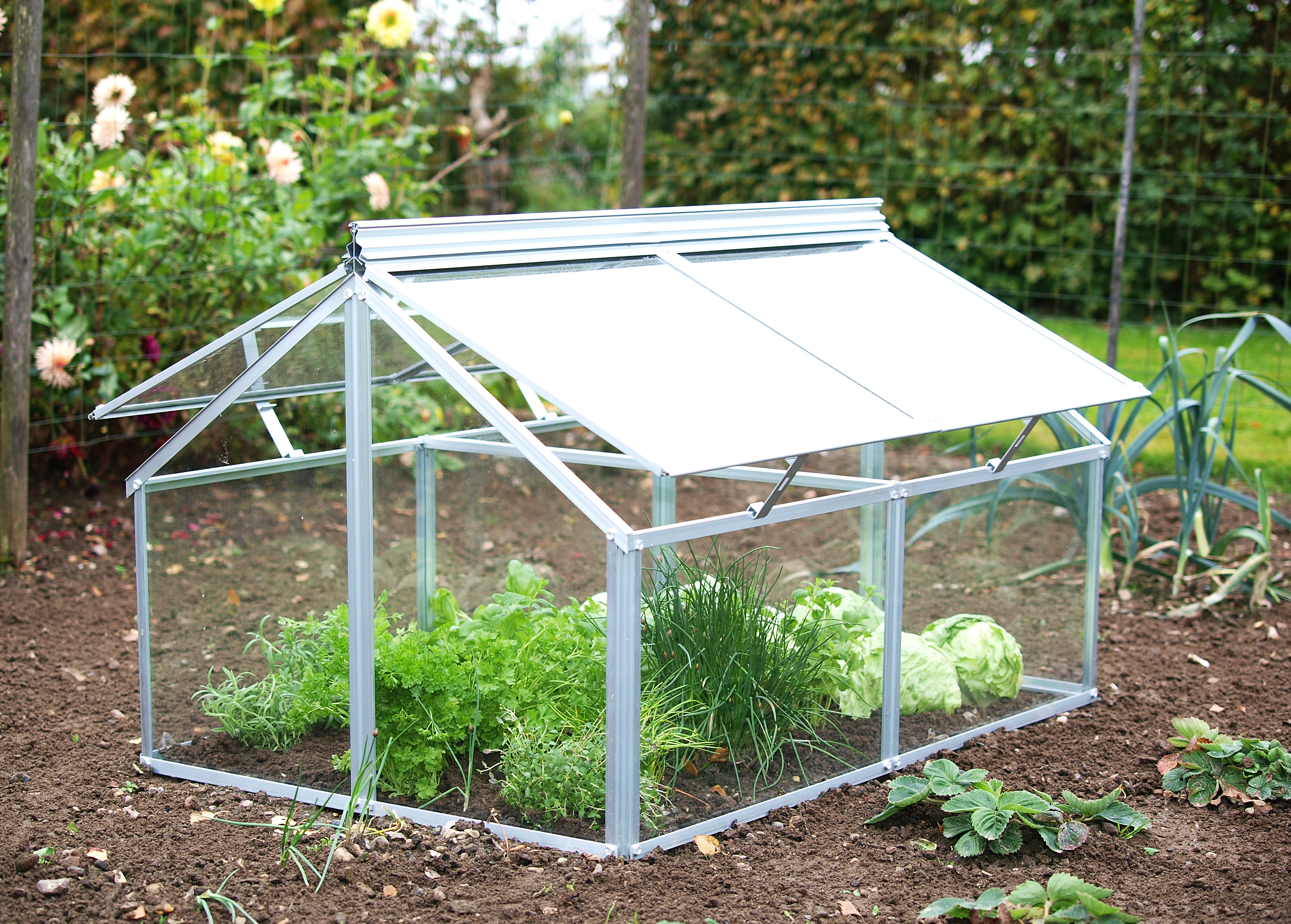 GAIA PALLET COLLAR GREENHOUSE