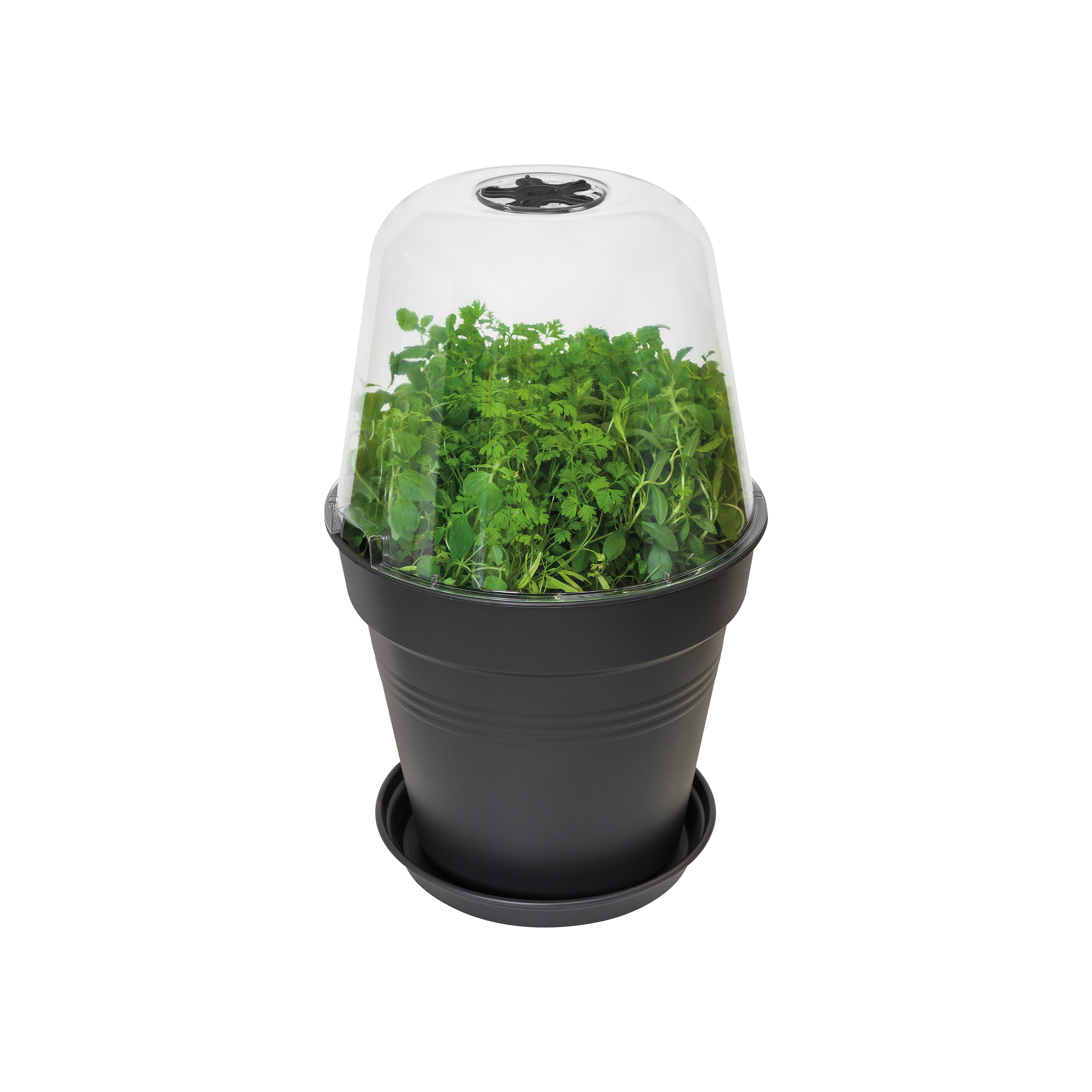 Green basics grow house round