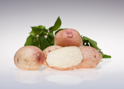 Settepotet 'Kerrs Pink'