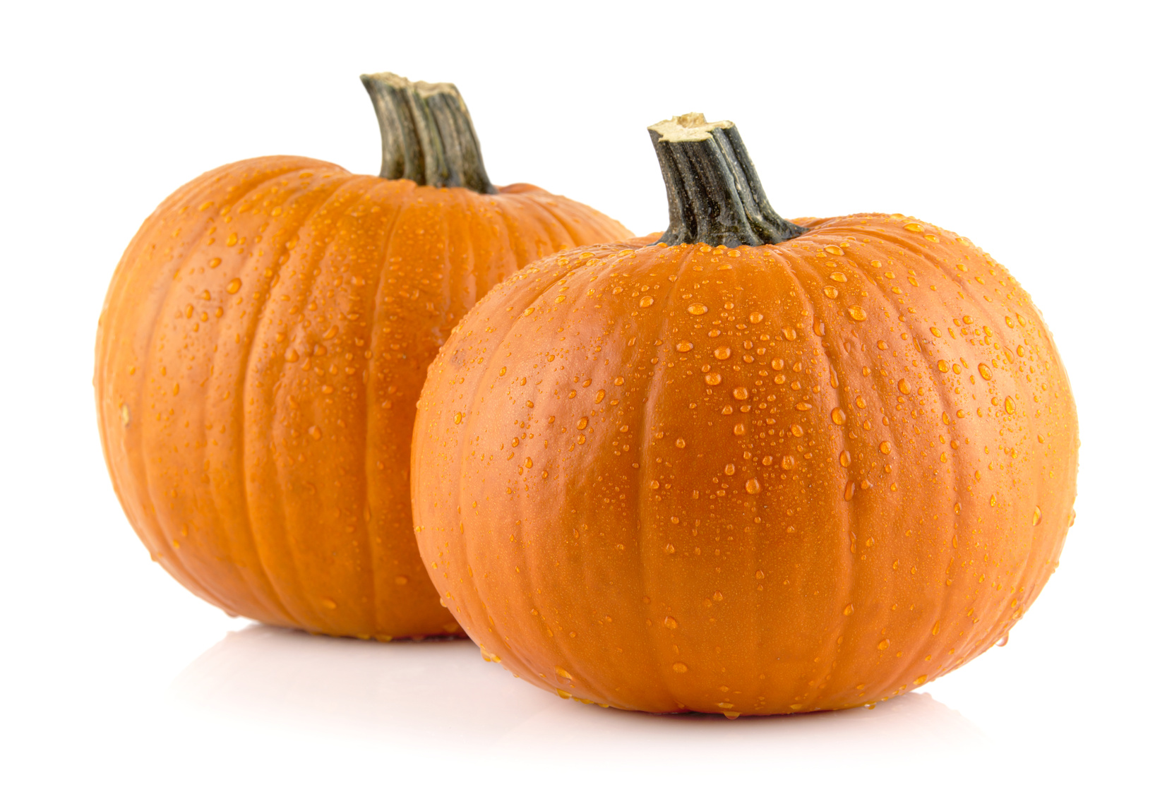 Gresskar 'Rouge Vif d'Etampes'