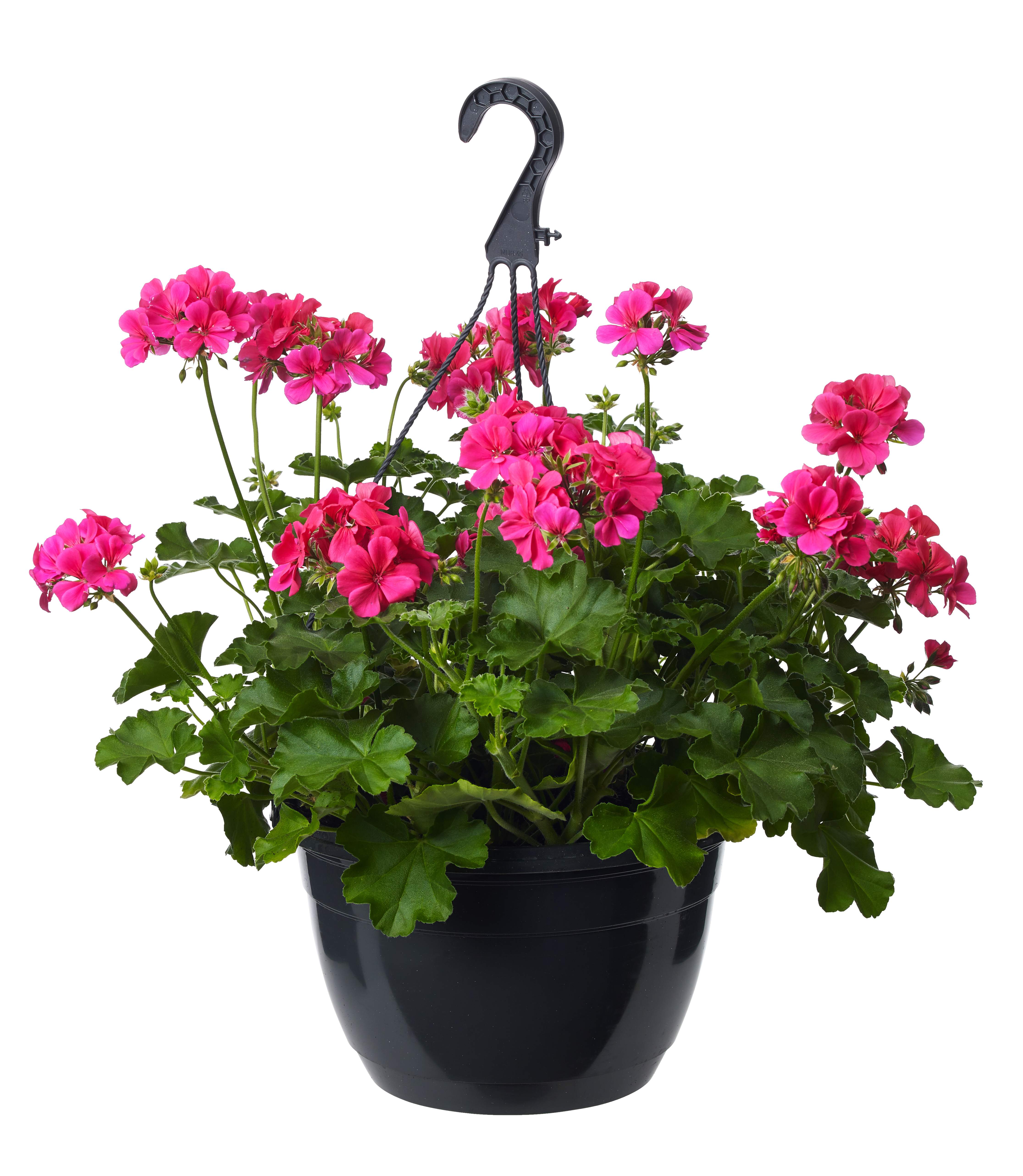 Pel. Calliope L 'Lavander Splash' h.basket 25 cm