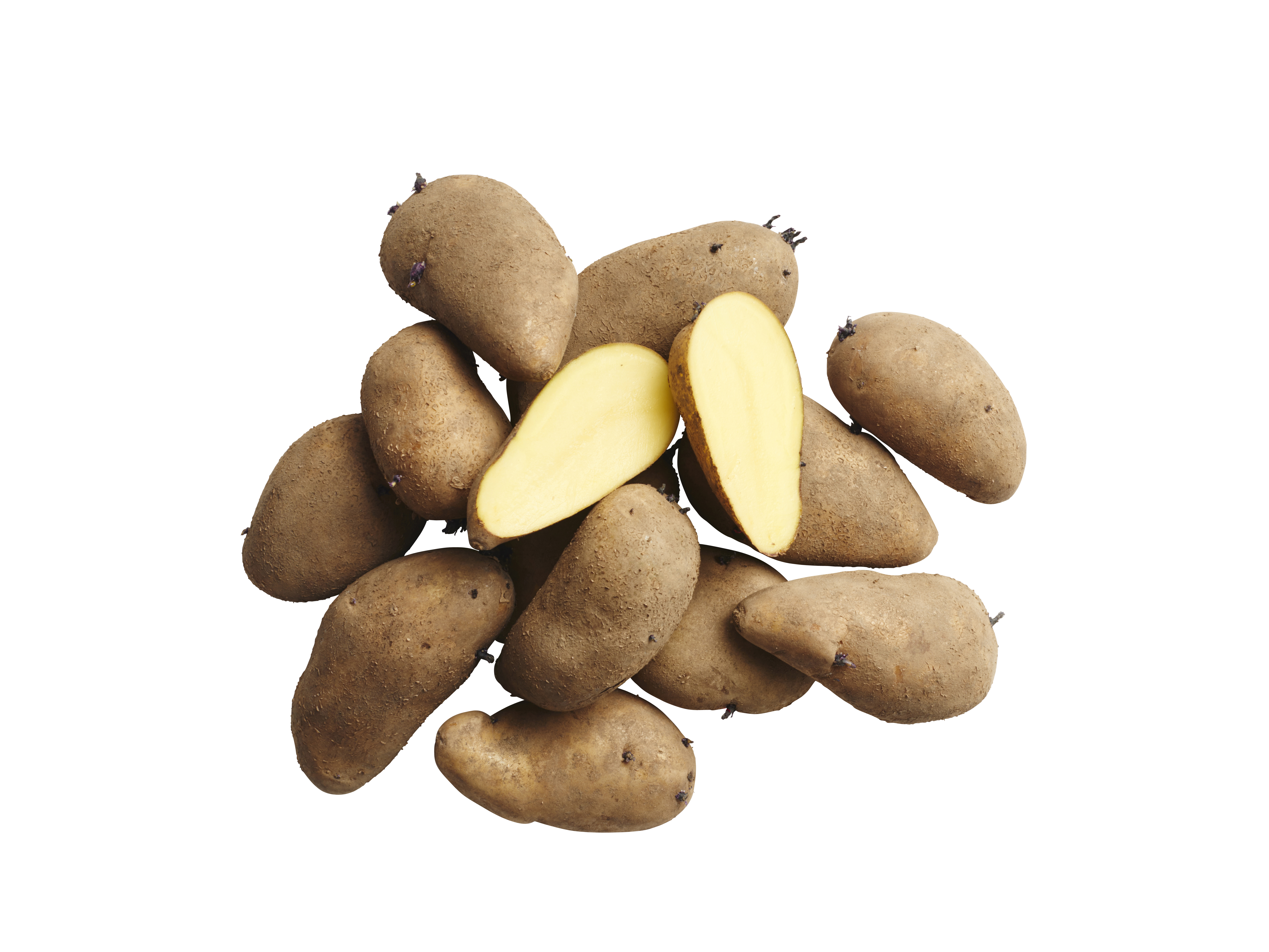 Sättpotatis 'Mandel'