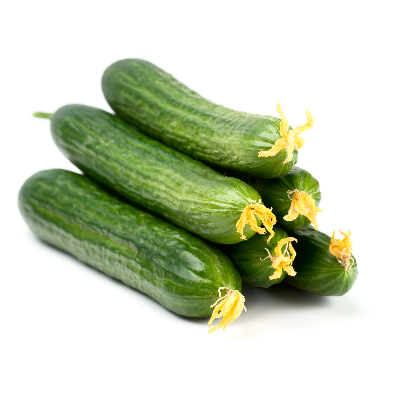 Ready Cucumber mini 14 cm