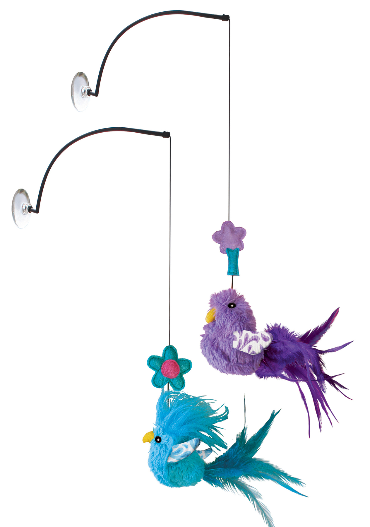 Kong Cat Window Teaser