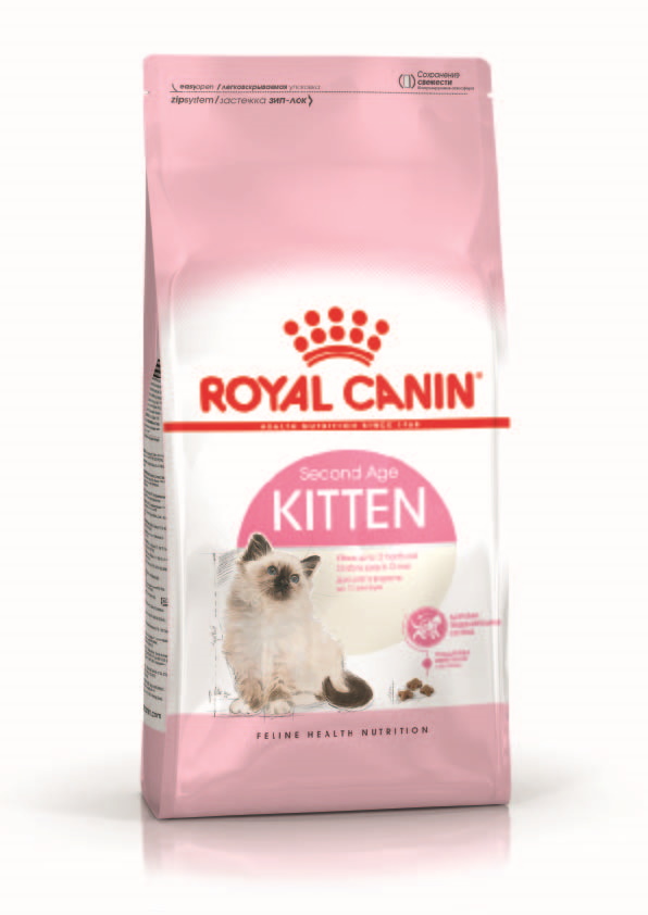 Kitten 10 kg