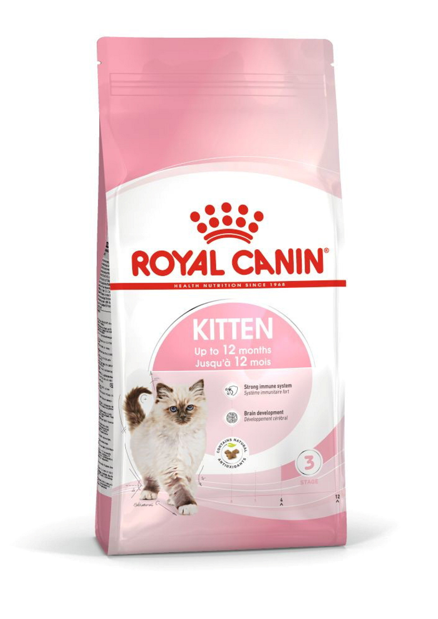 Kitten 10 kg