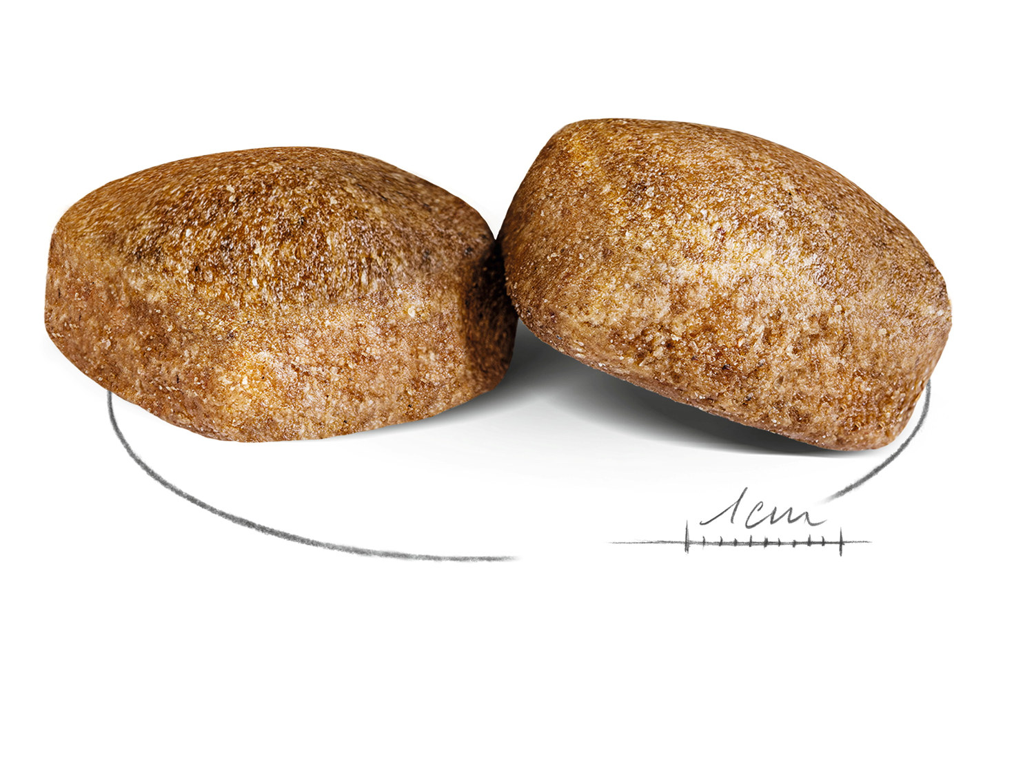 Royal Canin Giant Adult