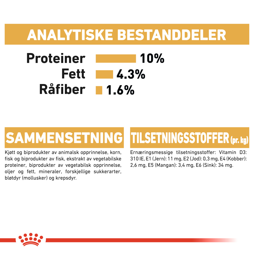 Maine Coon Adult 10 kg