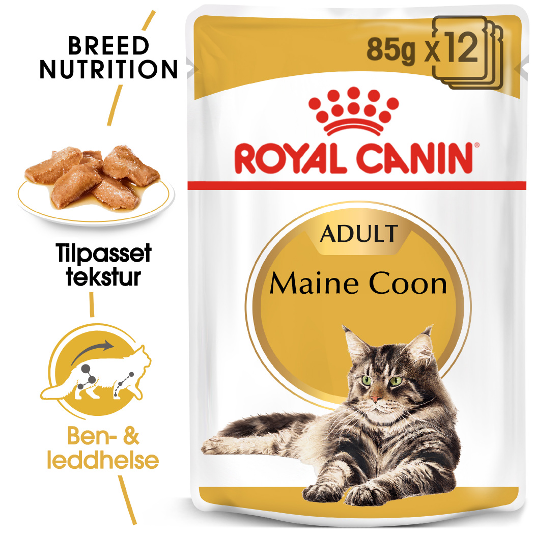 Maine Coon Adult 2 kg