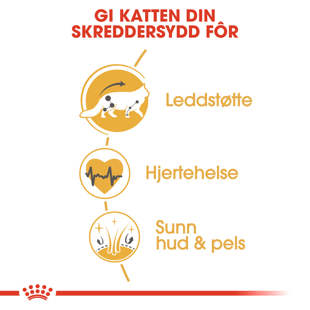 Maine Coon Adult 2 kg