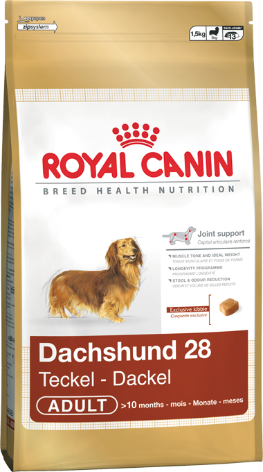 Dachshund Adult 1,5 kg