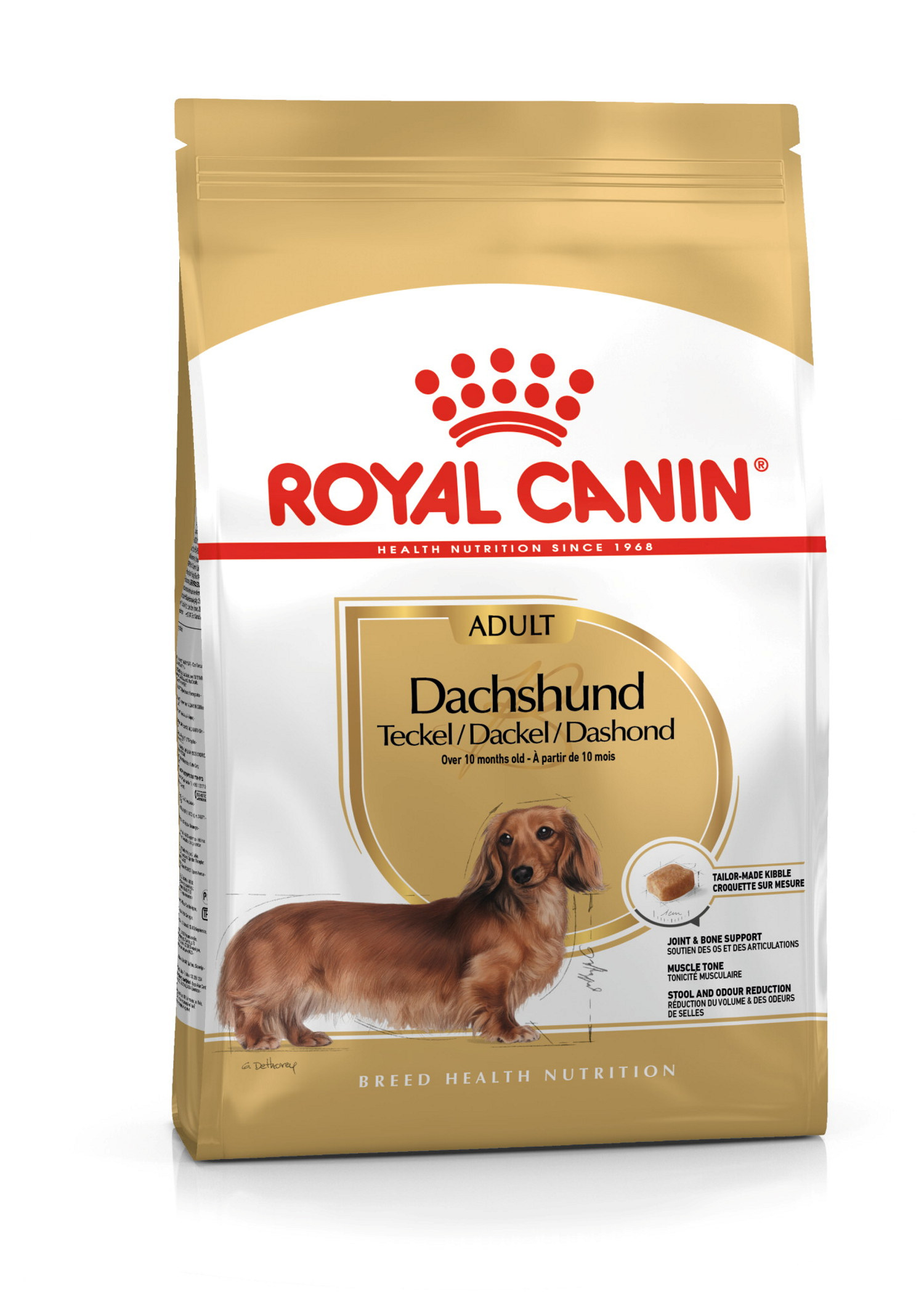 Dachshund Adult 1,5 kg