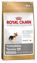Yorkshire Terrier Junior 1,5 kg