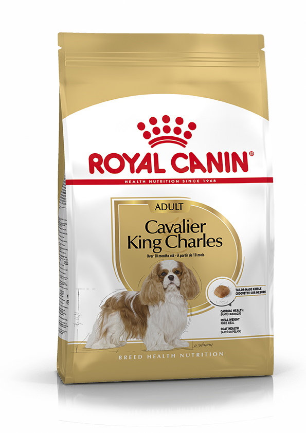 Royal Canin Cavalier king charles spaniel Adult