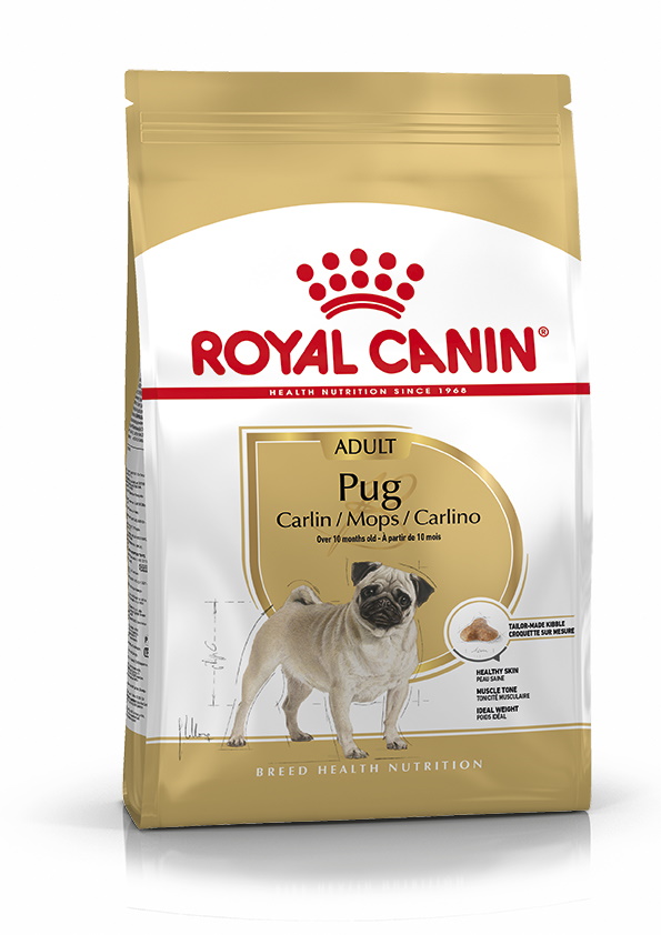 Royal Canin Pug Adult