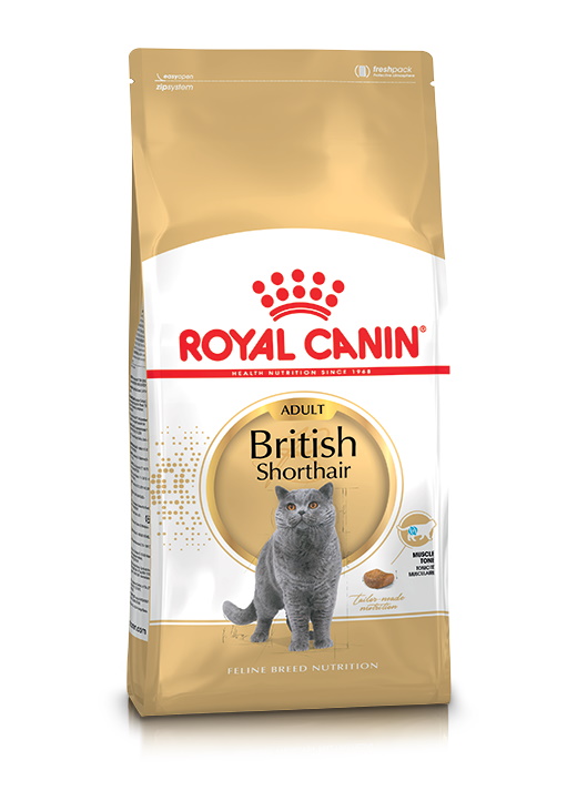 British Shorthair Adult 2 kg