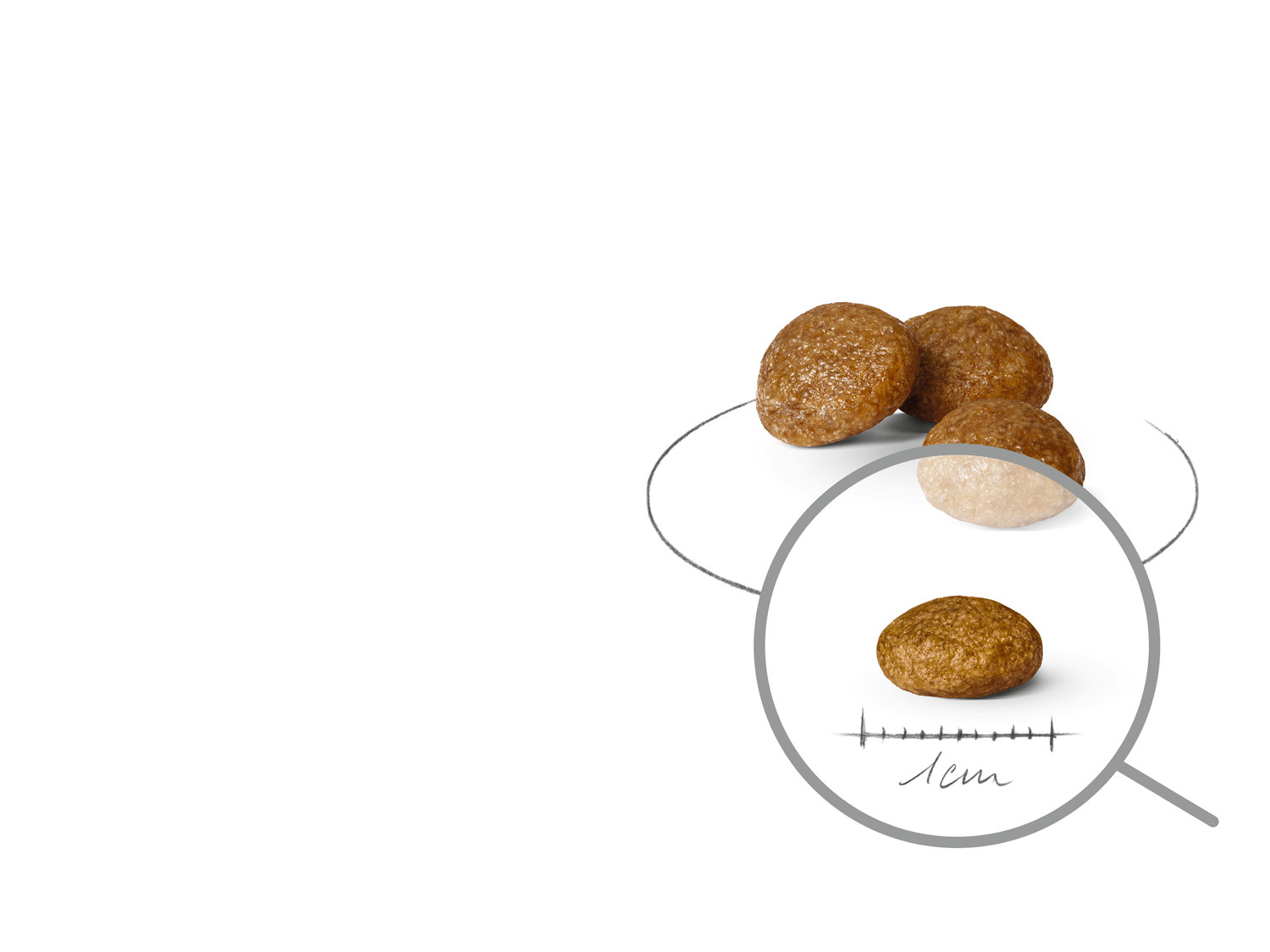 Royal Canin X-small Adult