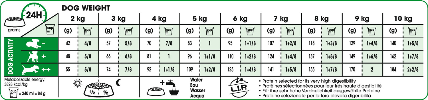 Royal Canin Mini Ageing 12+
