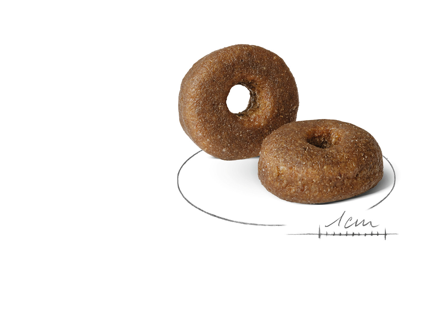 MAXI Ageing 8+ 15 kg