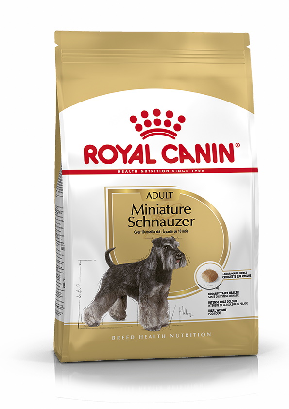 Royal Canin Miniature schnauzer Adult