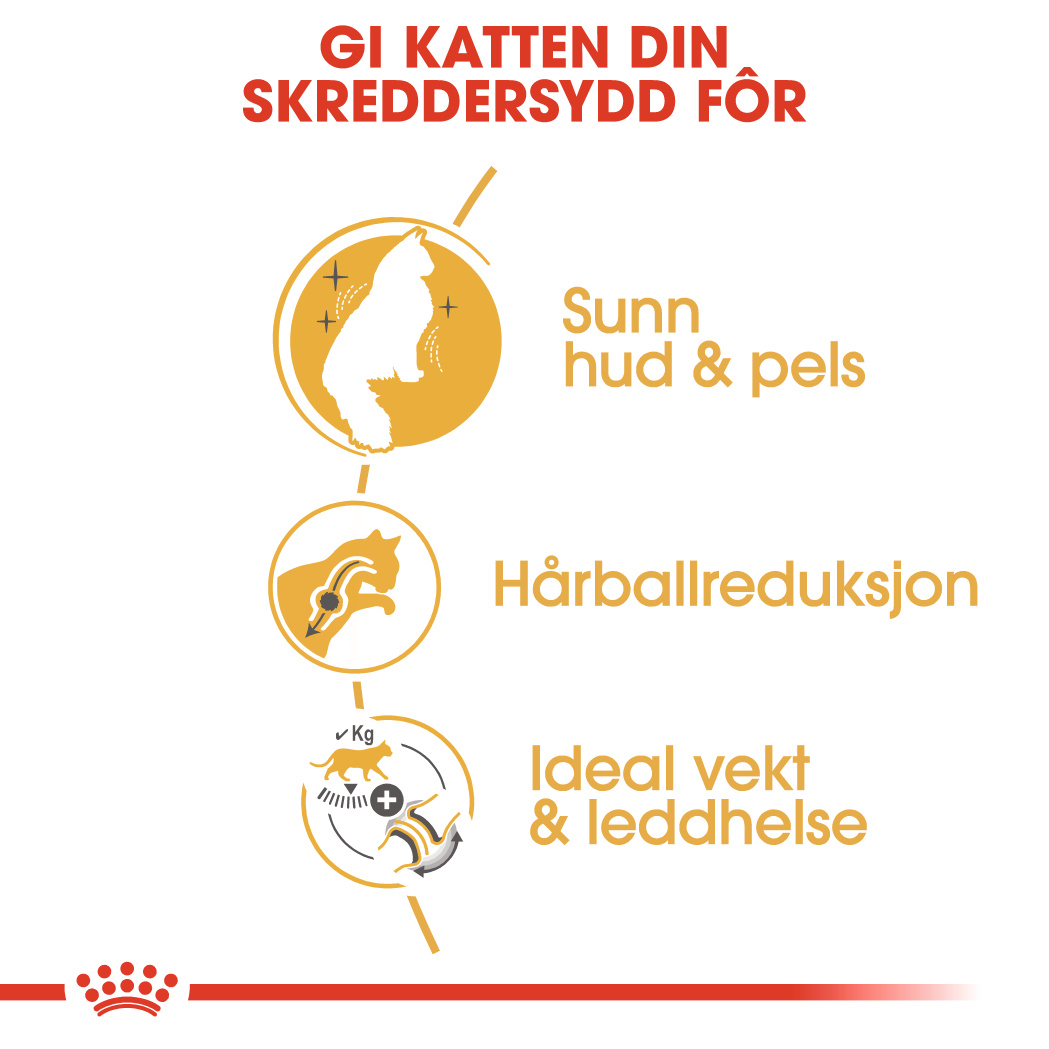 Norwegian Forest Cat Adult 2 kg