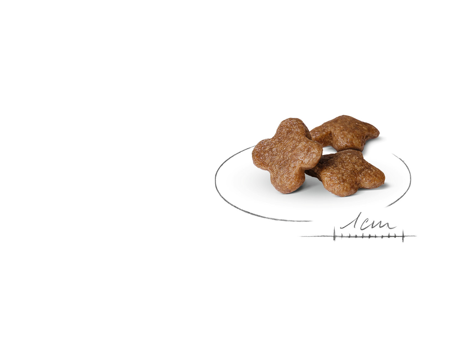 Royal Canin Mini Adult 8  2Kg